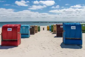 reizen met huisdier praktische tips voor een zorgeloze trip
